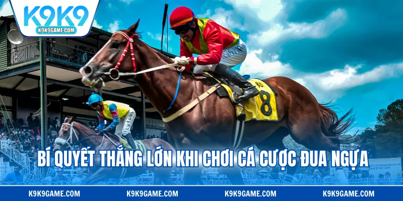 Bí quyết thắng lớn khi chơi cá cược đua ngựa cho newbie