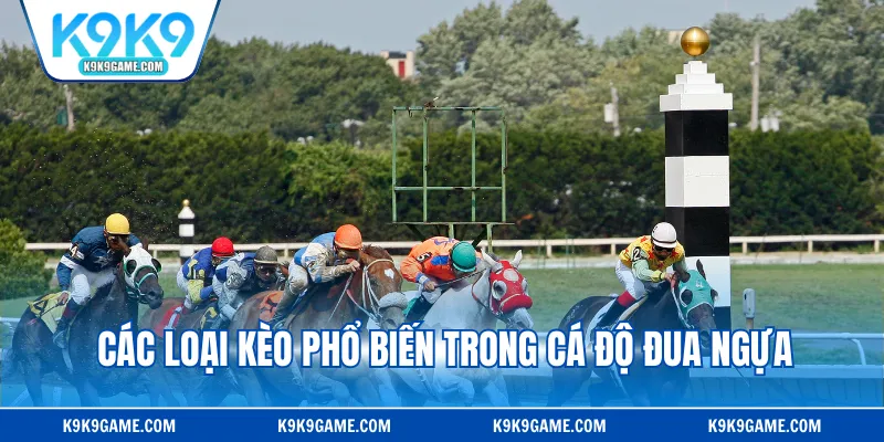 Các loại kèo phổ biến trong cá độ đua ngựa tại nhà cái