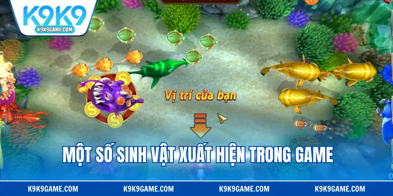 Mẹo chơi đơn giản thắng nhanh cho người mới